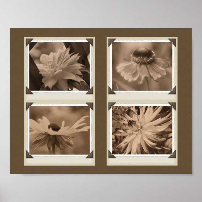 Poster Sepia Tint Flowers Collage Nature (Devant)