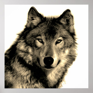 Poster Sepia Unique Motivational Wolf Carré créatif