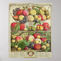 Septembre, à partir de "Douze mois de fruits"