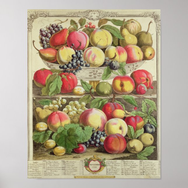 Poster Septembre, à partir de "Douze mois de fruits" (Devant)