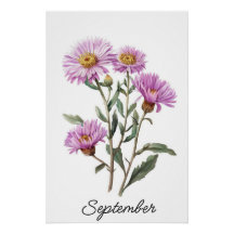 Septembre Aster Fleur de naissance Vintage Botaniq