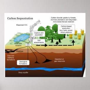 Poster Séquestration d'anhydride carbonique d'usine de
