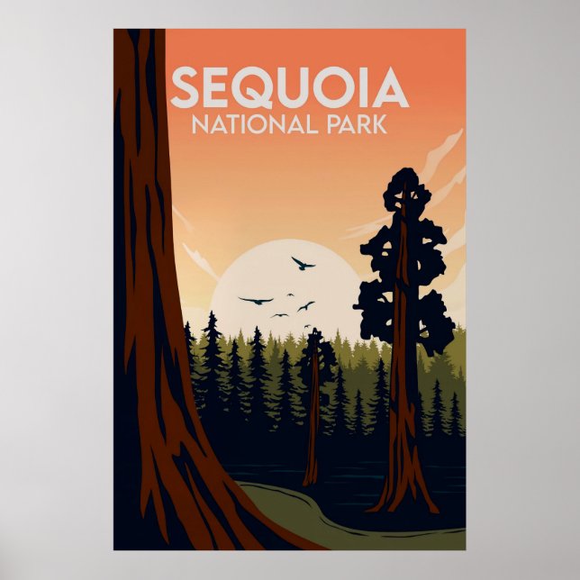 Poster Sequoia (Devant)