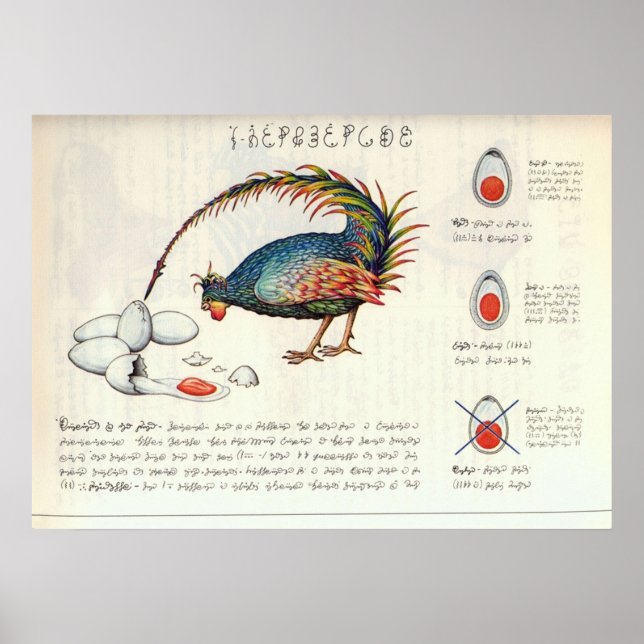 Poster Seraphinianus codex (Devant)