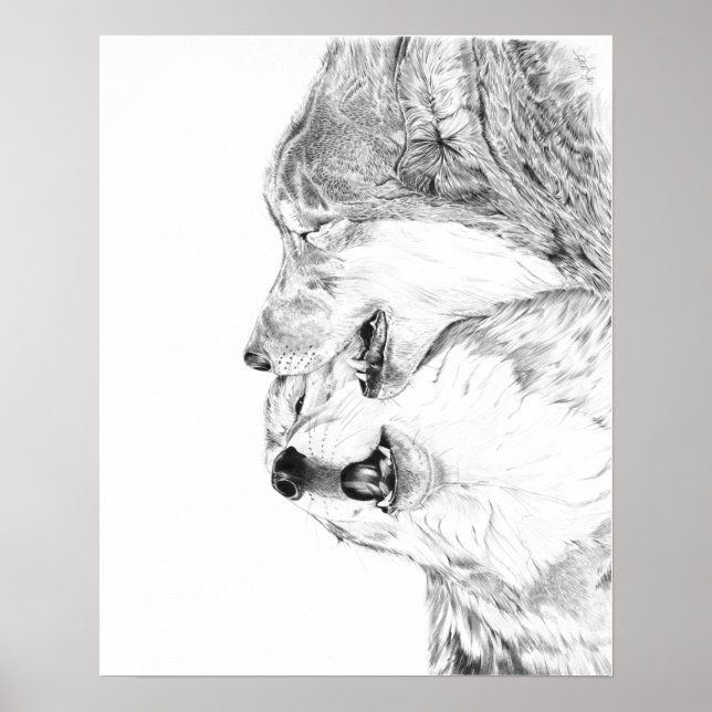 Poster Serenade (Devant)