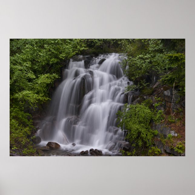 Poster Serene (Devant)