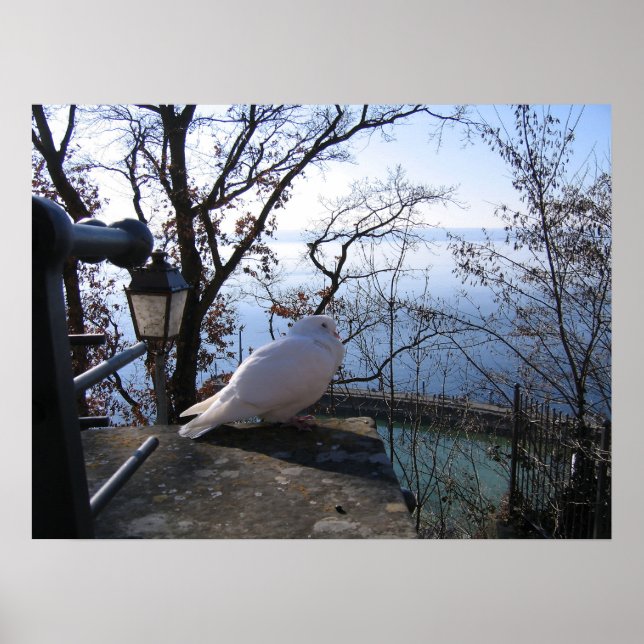 Poster Serene Overlook (Devant)