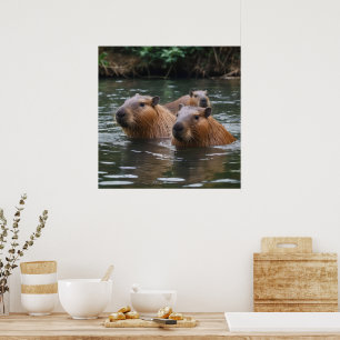 Poster "Sérénité de la rivière : Capybaras nage dans le f