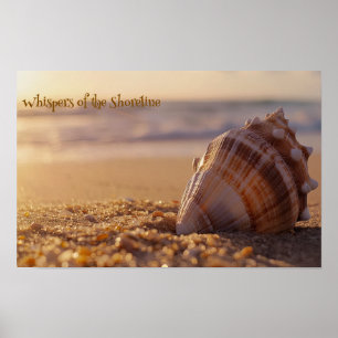 Poster Sérénité du coucher du soleil : Coquillage sur le
