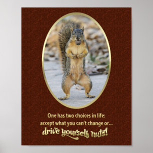 Poster Serenity Prayer in a Nutshell