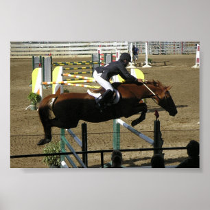 Poster Série de parc d'Estes (1)