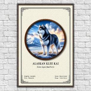 Poster Série de zoologie Alaskan Klee Kai