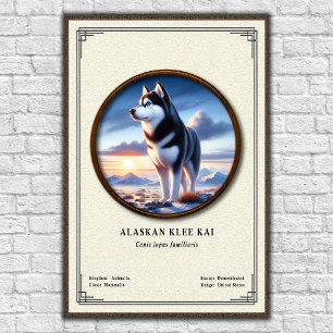 Poster Série de zoologie Alaskan Klee Kai