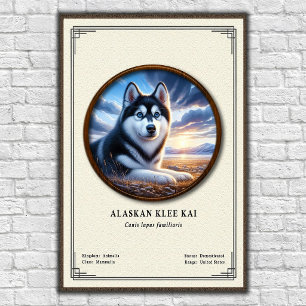 Poster Série de zoologie Alaskan Klee Kai