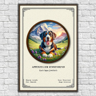 Poster Série de zoologie Appenzeller Sennenhund