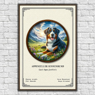 Poster Série de zoologie Appenzeller Sennenhund