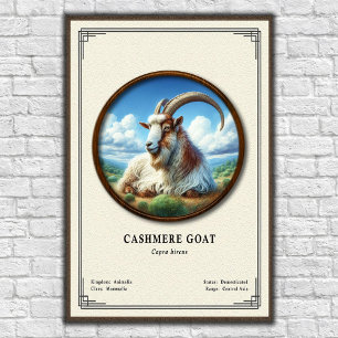 Poster Série de zoologie de la chèvre cashmere