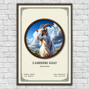 Poster Série de zoologie de la chèvre cashmere