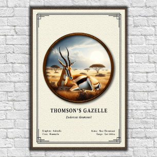 Poster Série de zoologie de la gazelle de Thomson