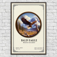 Série de zoologie de l'aigle royal