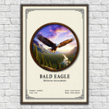 Série de zoologie de l'aigle royal