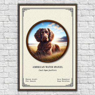 Poster Série de zoologie de l'American Water Spaniel