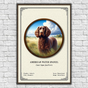 Poster Série de zoologie de l'American Water Spaniel