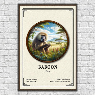Poster Série de zoologie des babouins