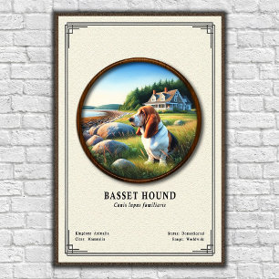 Poster Série de zoologie du Basset Hound