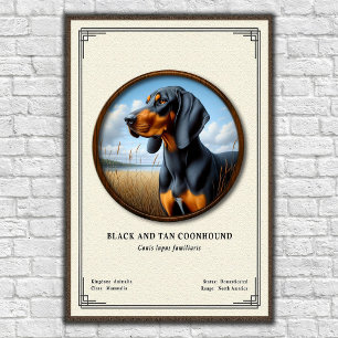 Poster Série de zoologie du Black and Tan Coonhound