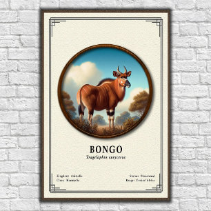 Poster Série de zoologie du Bongo