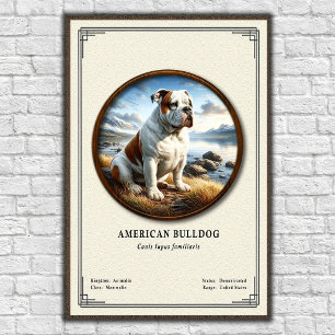 Poster Série de zoologie du bouledogue américain