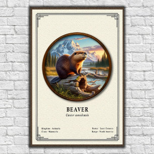 Poster Série de zoologie du castor