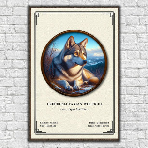 Poster Série de zoologie du chien-loup tchécoslovaque