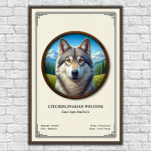 Poster Série de zoologie du chien-loup tchécoslovaque