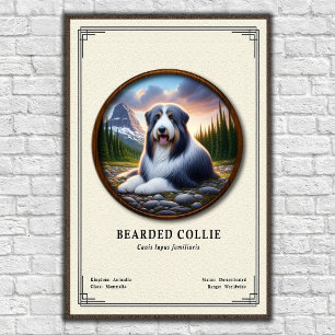 Poster Série de zoologie du Colley barbu