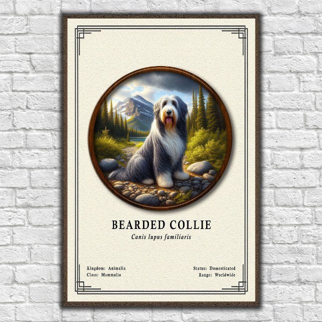 Poster Série de zoologie du Colley barbu (Créateur téléchargé)