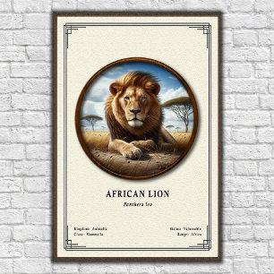 Poster Série de zoologie du lion africain
