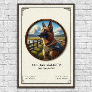 Poster Série de zoologie du Malinois belge