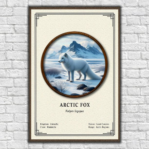 Poster Série de zoologie du renard arctique