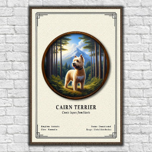 Poster Série de zoologie sur le Cairn Terrier