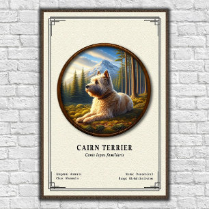 Poster Série de zoologie sur le Cairn Terrier