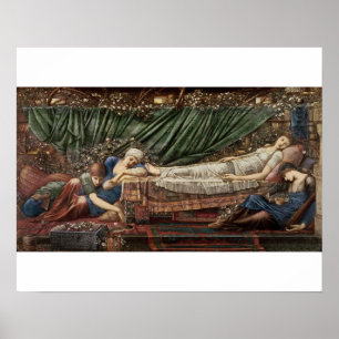 Poster Série "Le Rose", 4 : La beauté du sommeil, 1