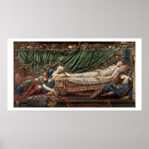 Poster Série "Le Rose", 4 : La beauté du sommeil, 1