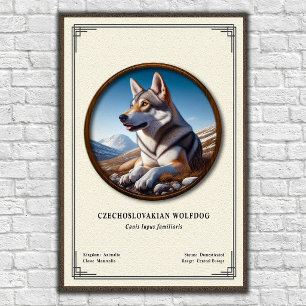 Poster Séries de zoologie du chien loup tchécoslovaque