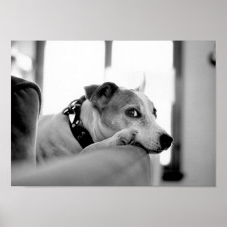 Poster Sérieux Oeil Côté.