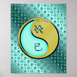 Poster Serpent Aquarius et Métal