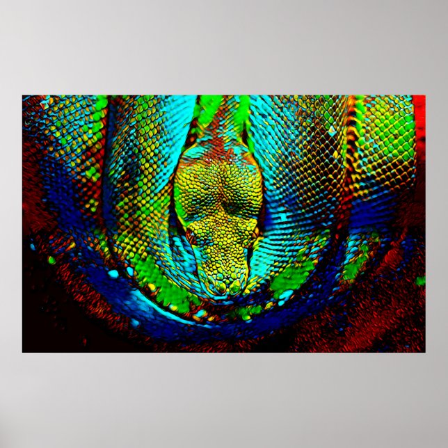 Poster Serpent arc-en-ciel (Devant)