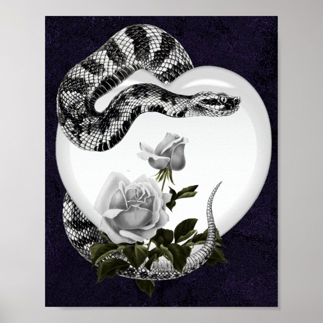 Poster Serpent Coeur gothique Rose blanche de Saint-Valen (Devant)