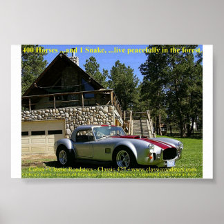 Poster SerpentNGrass